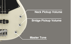 Tampilan dekat kenop Master Tone, Volume Pickup Neck, dan Volume Pickup Bridge