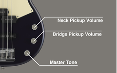 Tampilan dekat kenop Volume Pickup Neck, Volume Pickup Bridge, dan Master Tone