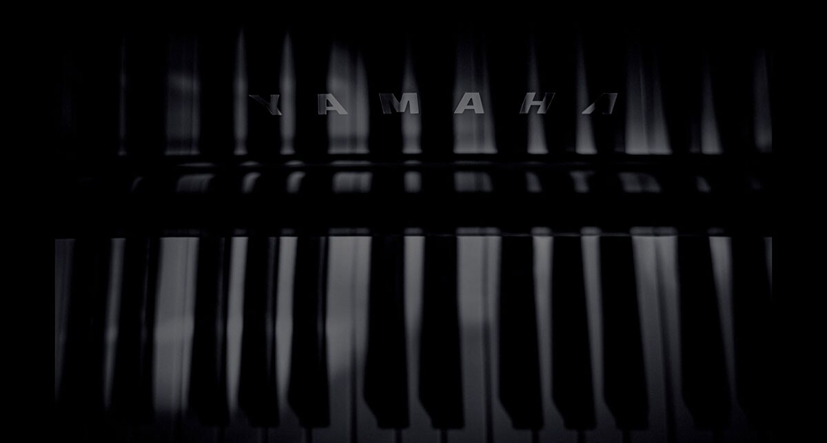 WHAT PERFECTION FEELS LIKE