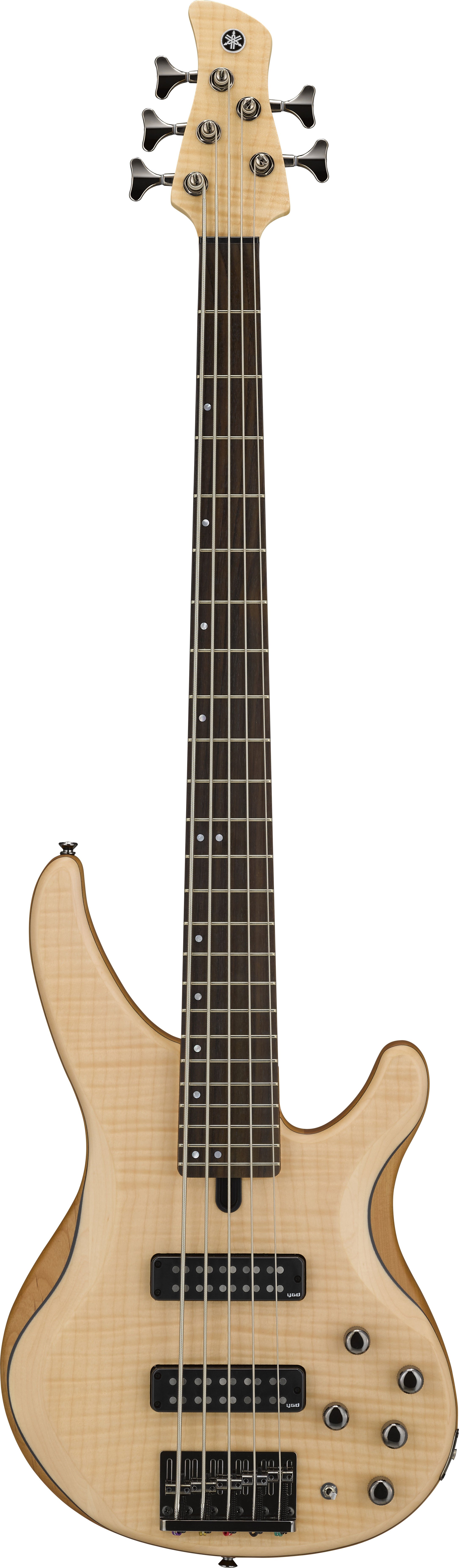 yamaha trbx 5 string bass