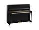 Gambar produk B20 (Polished Ebony)
