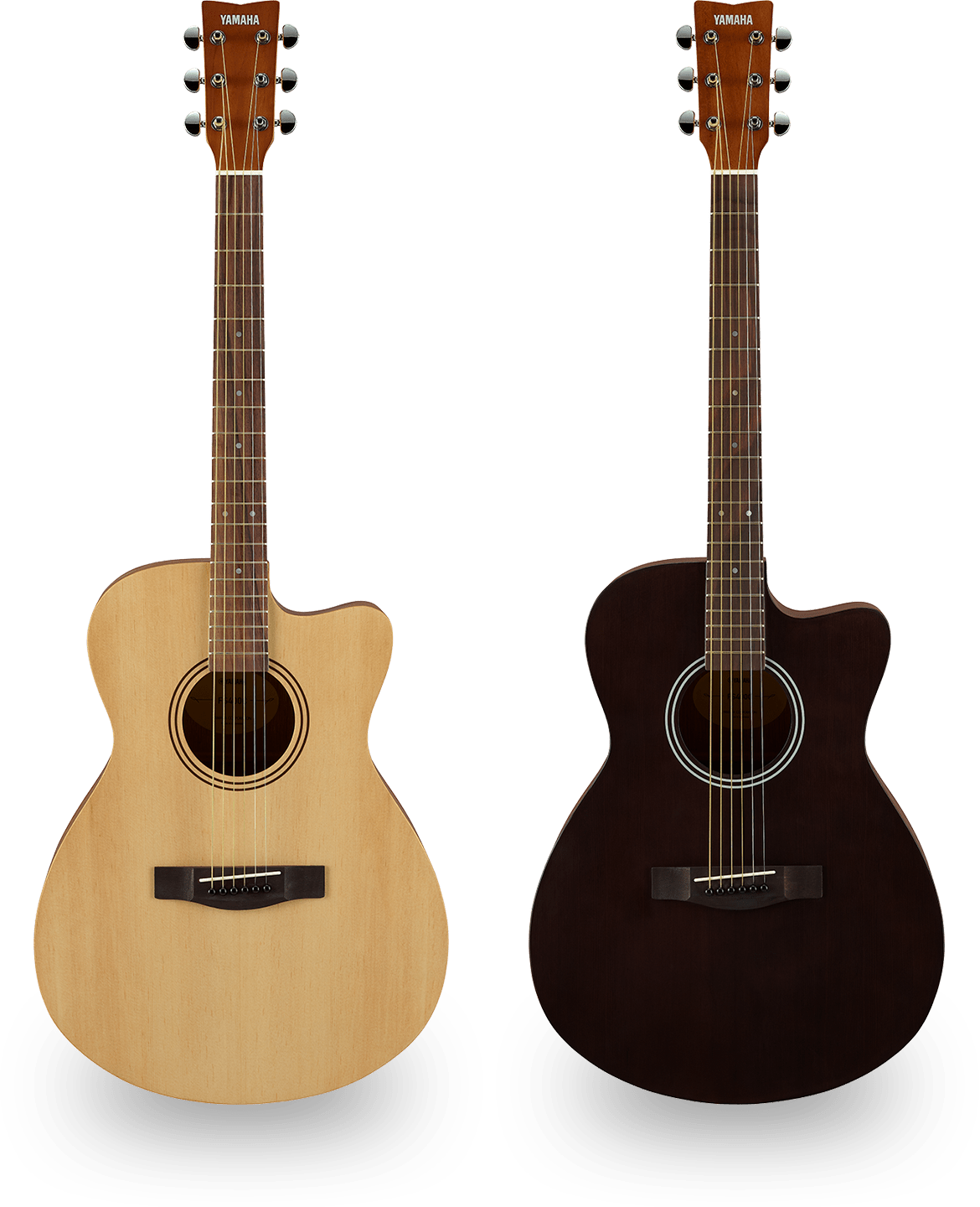 fender champion 20 thomann