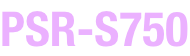 PSR-S750.png