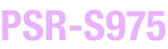 PSR-S975.png