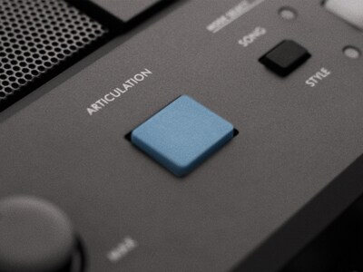 Gambar fitur PSR-E483: Tombol ARTICULATION