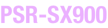 aPSR-SX900.png