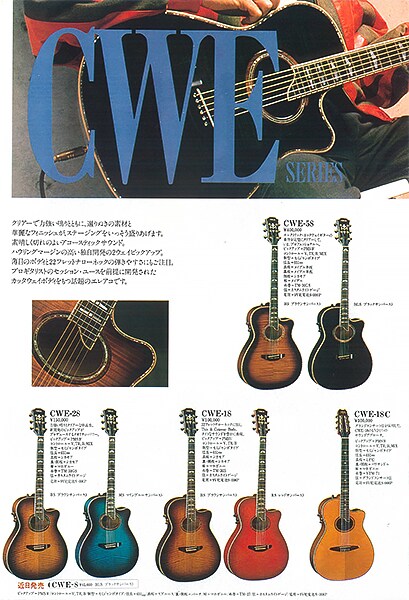 Gitar Akustik Elektrik CWE Series