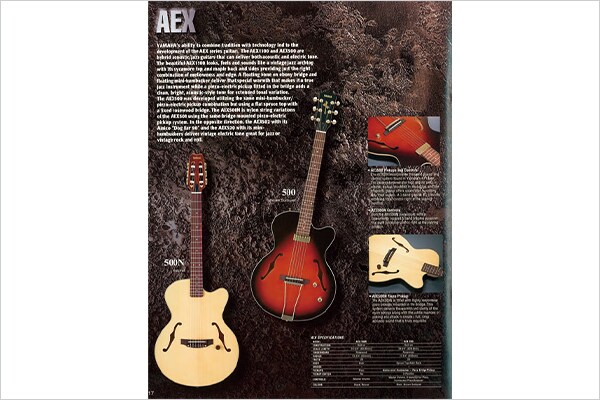 Gitar Elektrik AEX-500