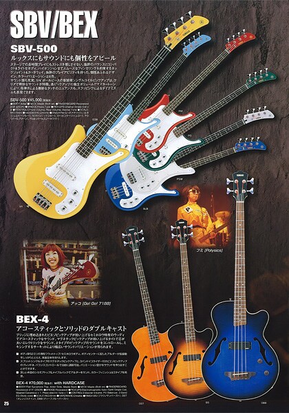 Bass Elektrik SBV500