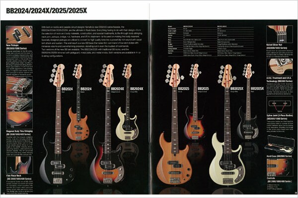 Bass Elektrik BB2024X